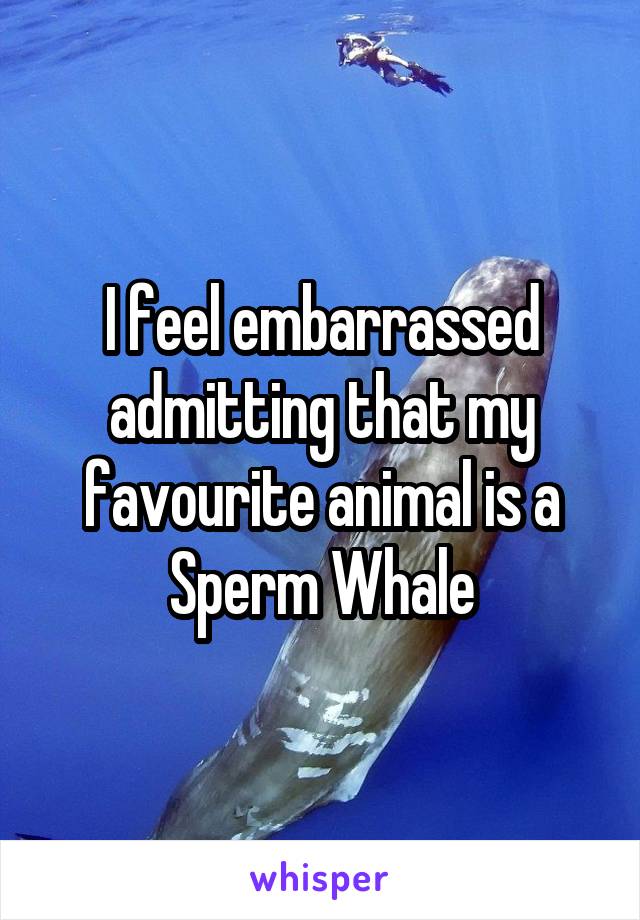 I feel embarrassed admitting that my favourite animal is a Sperm Whale