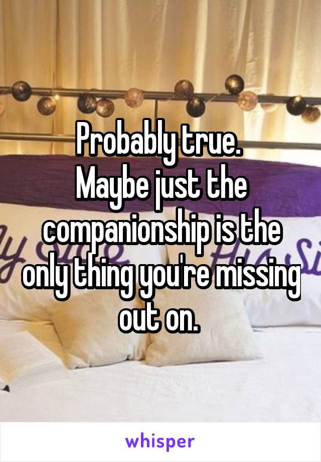 Probably true. 
Maybe just the companionship is the only thing you're missing out on. 