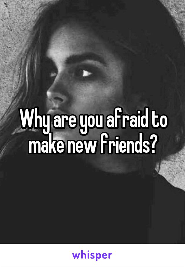 Why are you afraid to make new friends?