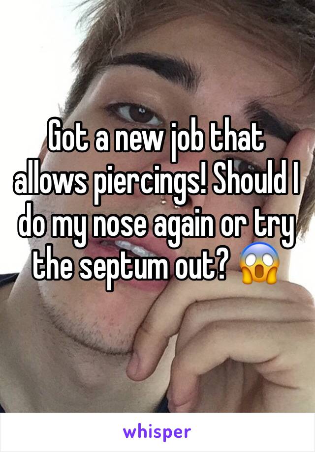 Got a new job that allows piercings! Should I do my nose again or try the septum out? 😱