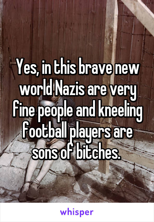 Yes, in this brave new world Nazis are very fine people and kneeling football players are sons of bitches. 