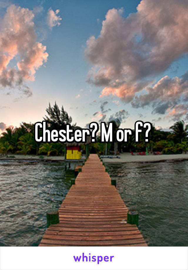Chester? M or f? 