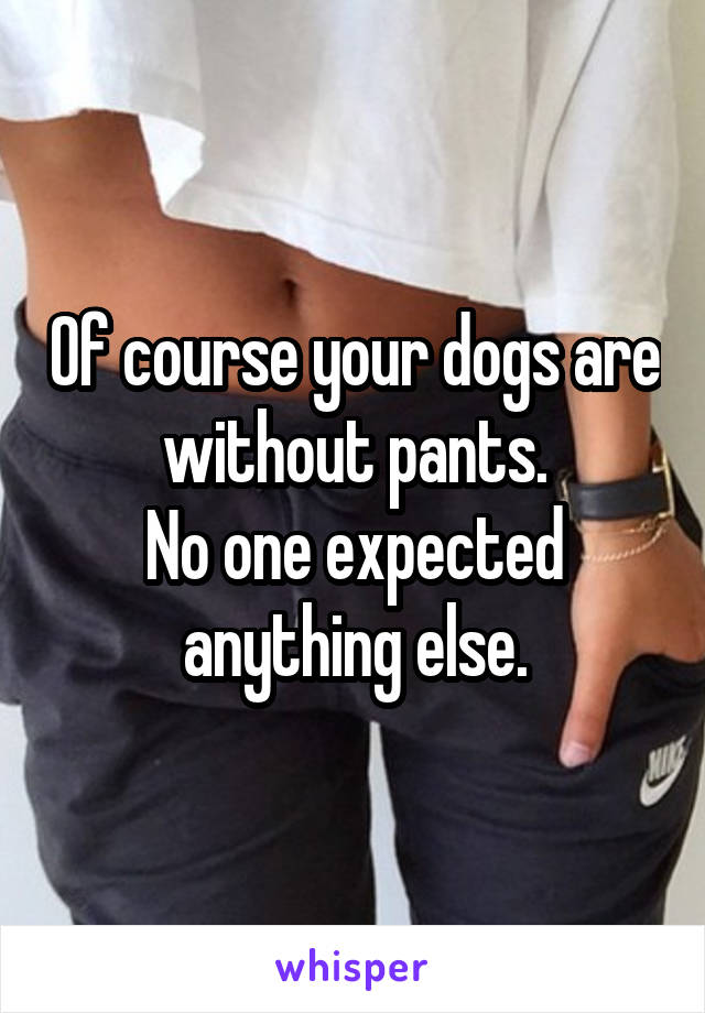Of course your dogs are without pants.
No one expected anything else.