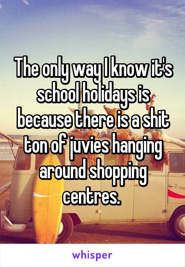 The only way I know it's school holidays is because there is a shit ton of juvies hanging around shopping centres. 