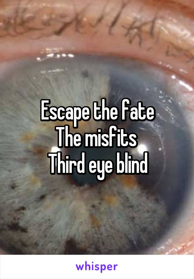 Escape the fate
The misfits 
Third eye blind