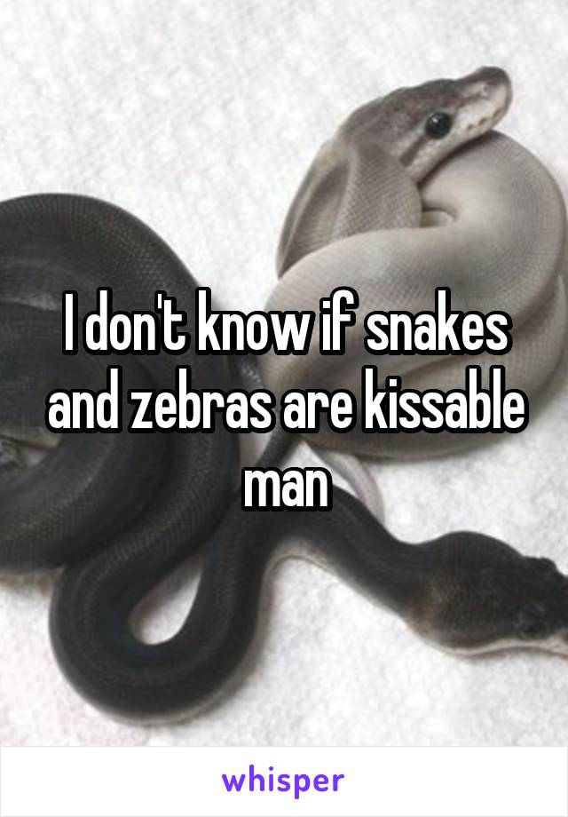 I don't know if snakes and zebras are kissable man