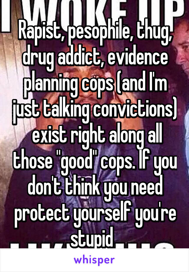 Rapist, pesophile, thug, drug addict, evidence planning cops (and I'm just talking convictions)  exist right along all those "good" cops. If you don't think you need protect yourself you're stupid  