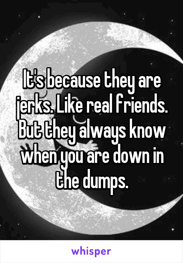 It's because they are jerks. Like real friends. But they always know when you are down in the dumps.