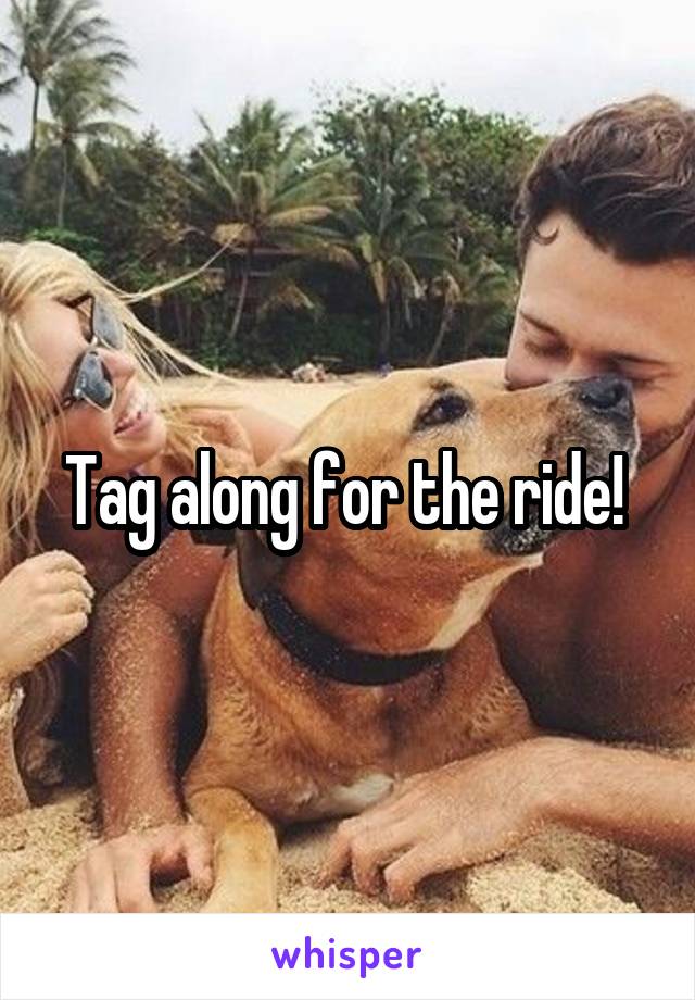 Tag along for the ride! 
