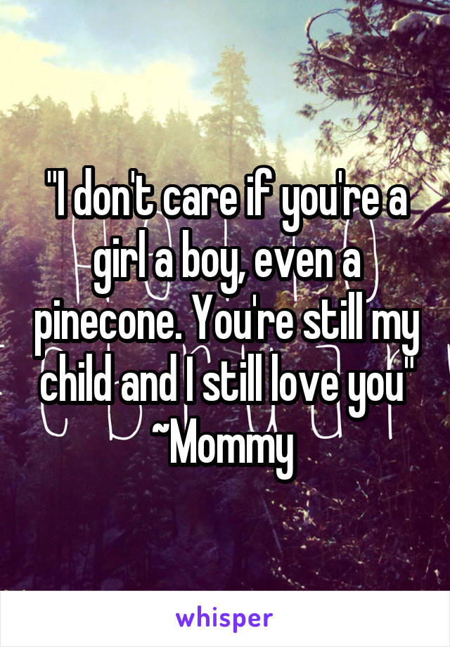 "I don't care if you're a girl a boy, even a pinecone. You're still my child and I still love you" ~Mommy 