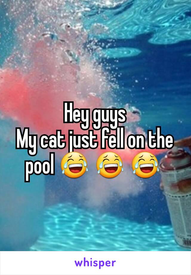 Hey guys
My cat just fell on the pool 😂 😂 😂 