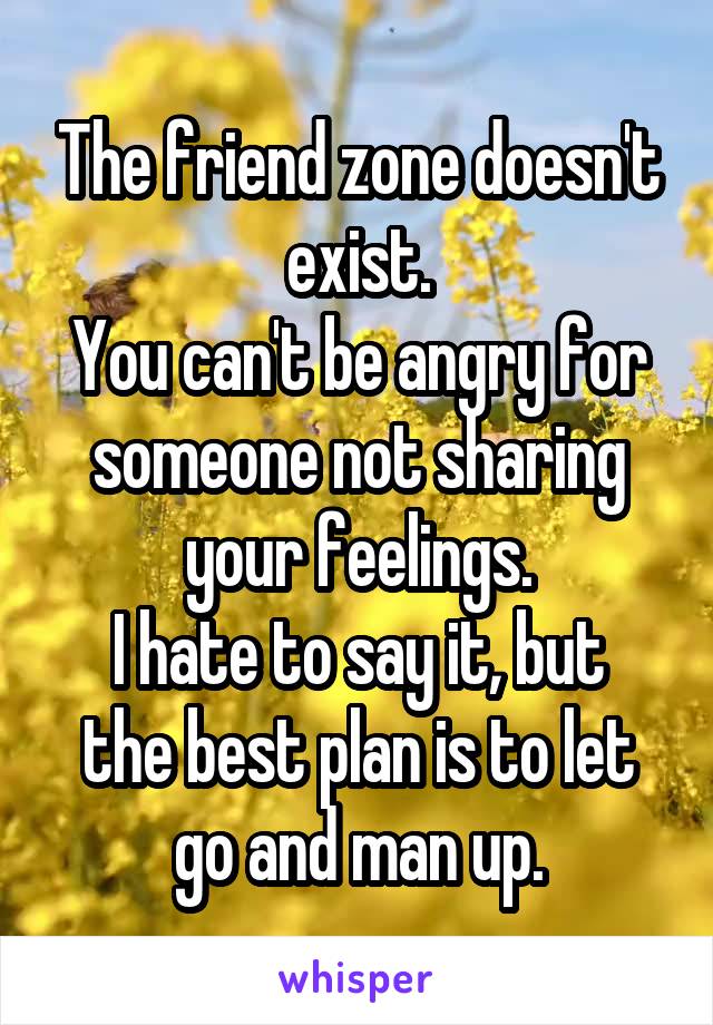 The friend zone doesn't exist.
You can't be angry for someone not sharing your feelings.
I hate to say it, but the best plan is to let go and man up.