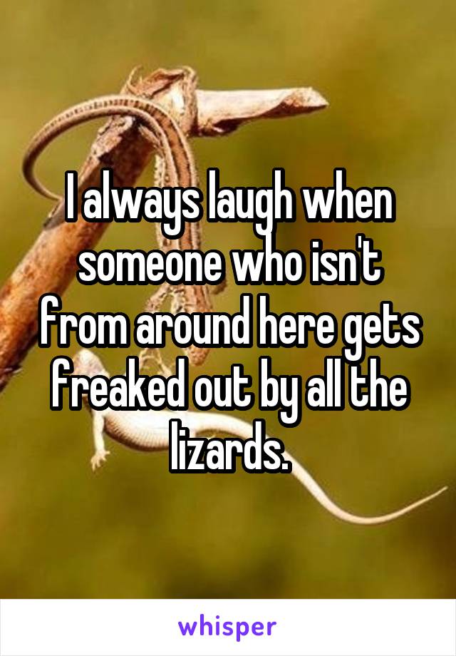 I always laugh when someone who isn't from around here gets freaked out by all the lizards.
