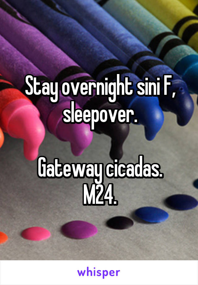 Stay overnight sini F, sleepover.

Gateway cicadas.
M24.