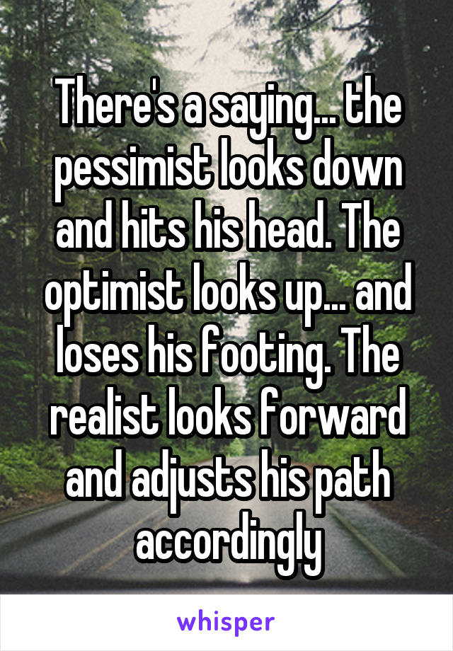 There's a saying... the pessimist looks down and hits his head. The optimist looks up... and loses his footing. The realist looks forward and adjusts his path accordingly