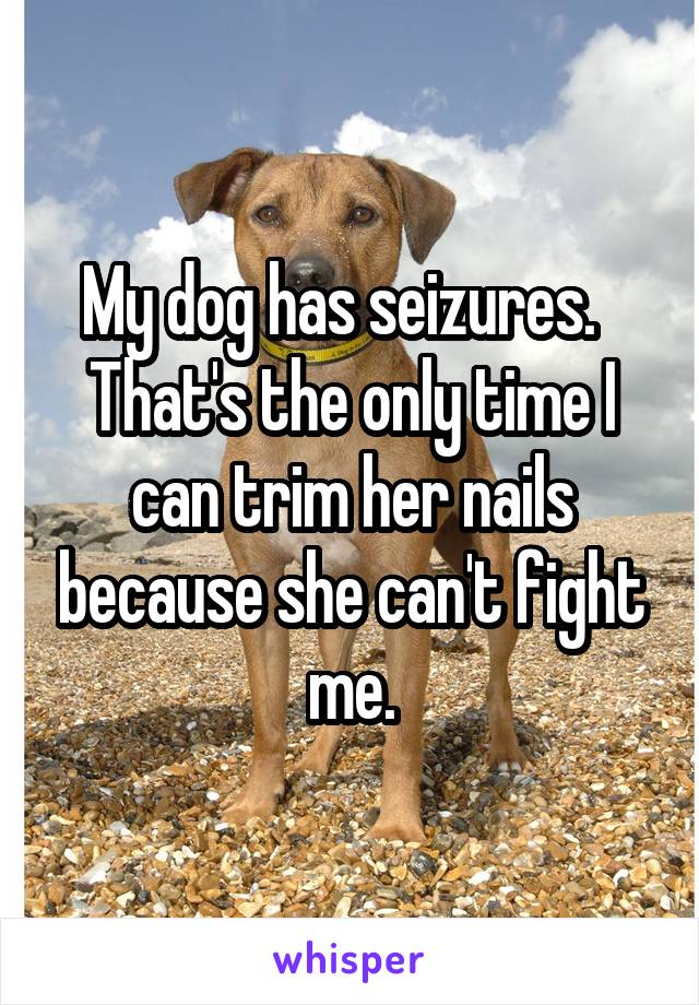 My dog has seizures.   That's the only time I can trim her nails because she can't fight me.