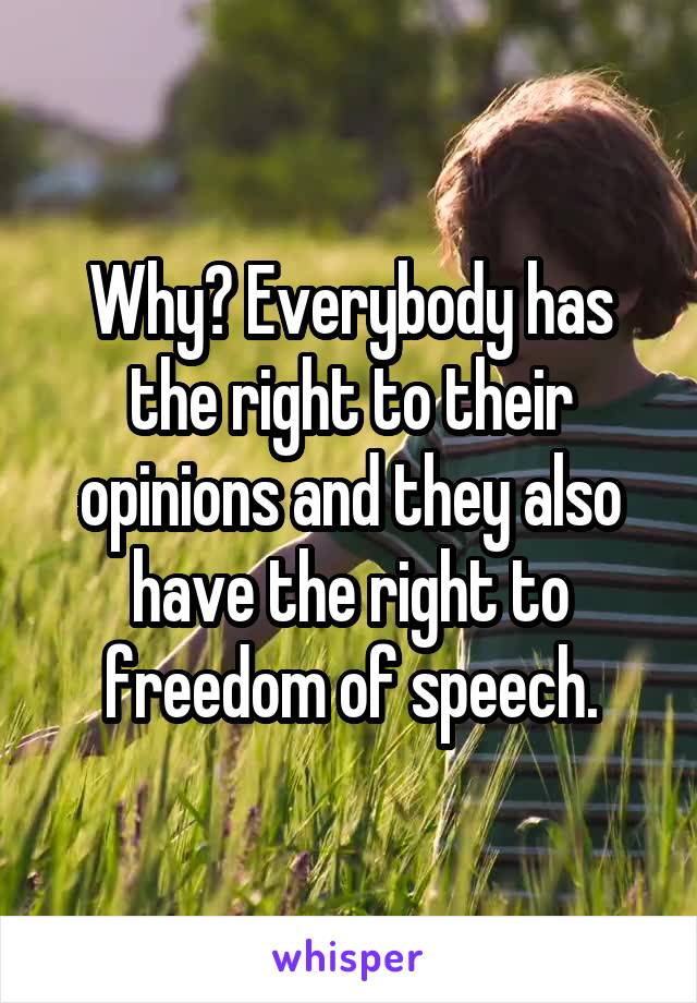 Why? Everybody has the right to their opinions and they also have the right to freedom of speech.