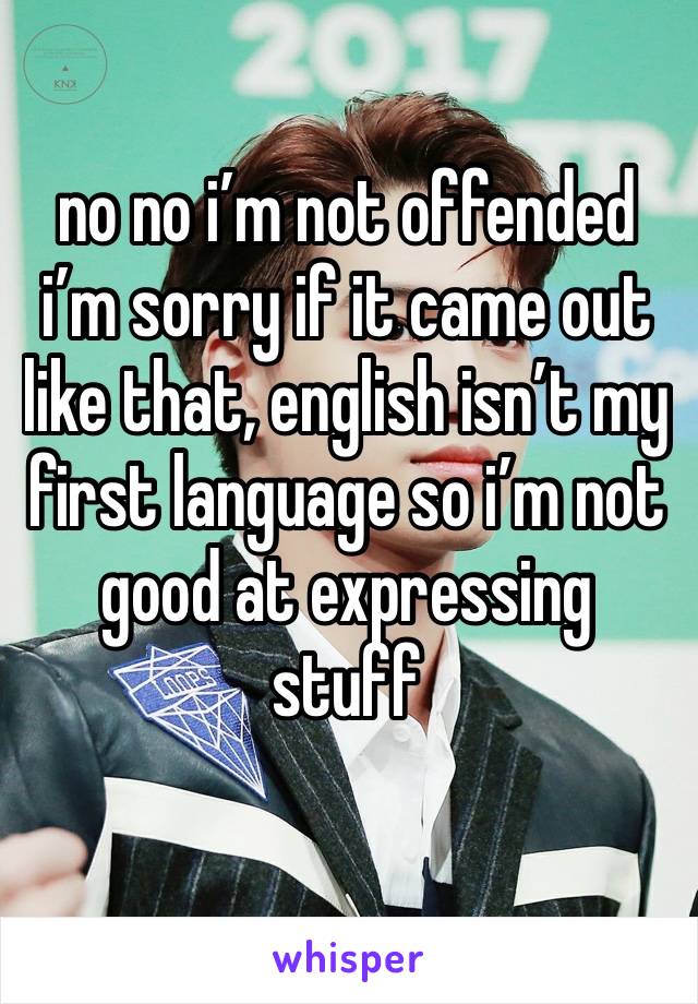 no no i’m not offended i’m sorry if it came out like that, english isn’t my first language so i’m not good at expressing stuff