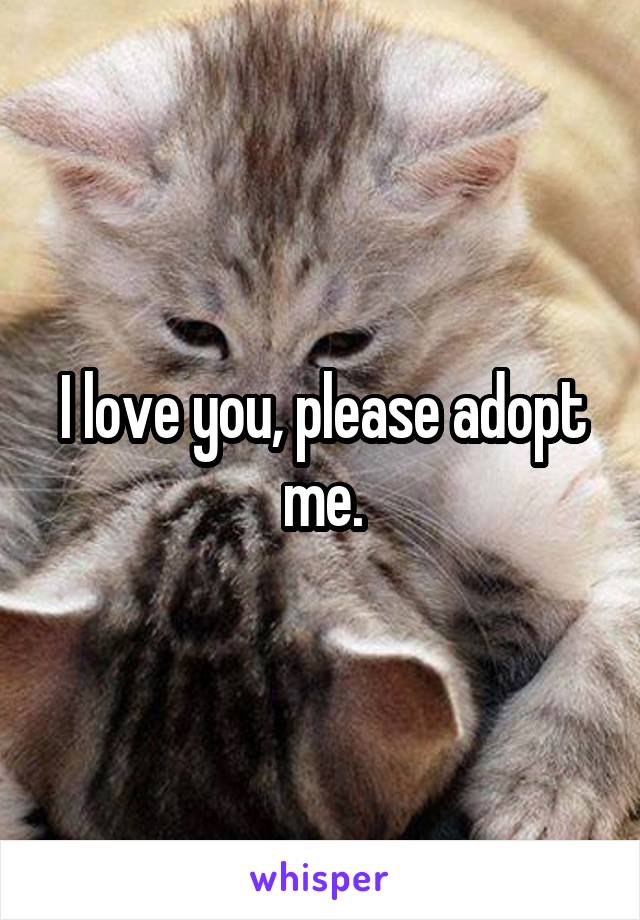 I love you, please adopt me.