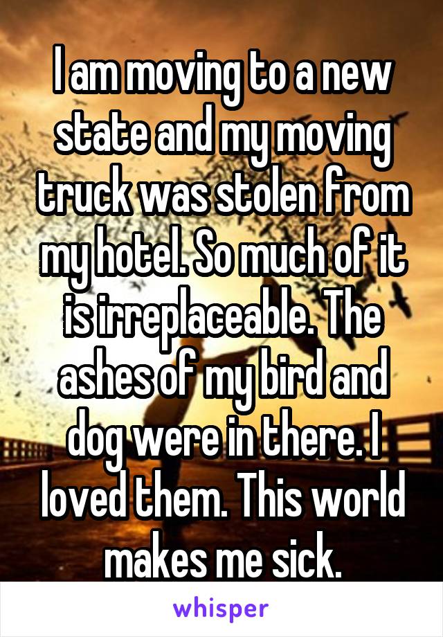 I am moving to a new state and my moving truck was stolen from my hotel. So much of it is irreplaceable. The ashes of my bird and dog were in there. I loved them. This world makes me sick.