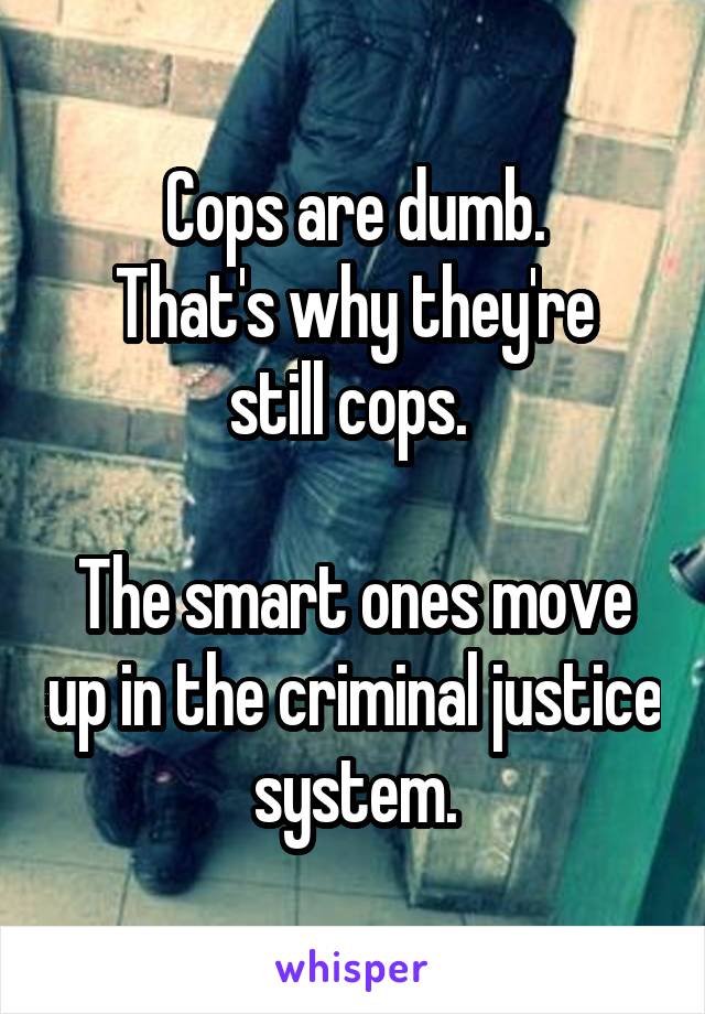 Cops are dumb.
That's why they're still cops. 

The smart ones move up in the criminal justice system.