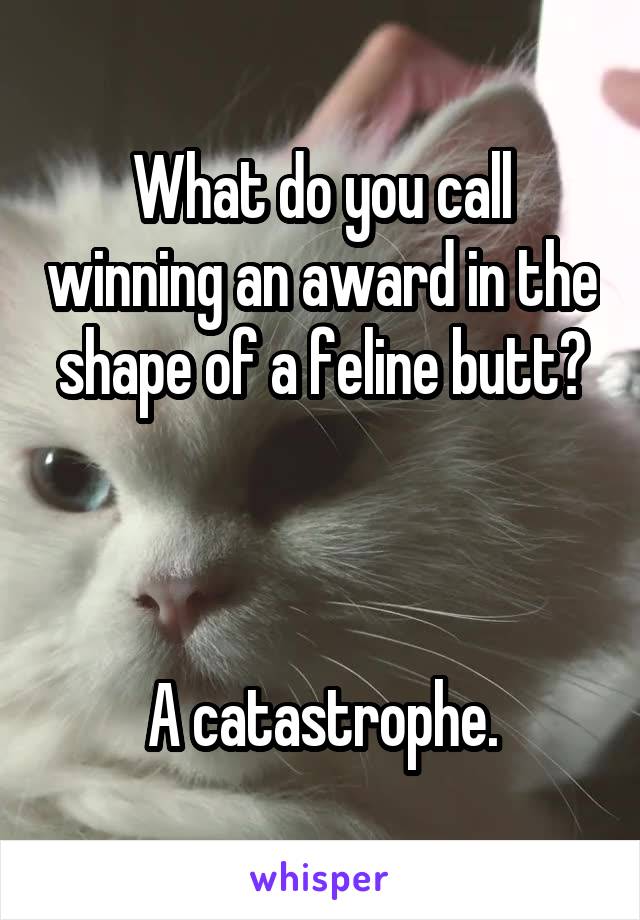 What do you call winning an award in the shape of a feline butt?



A catastrophe.