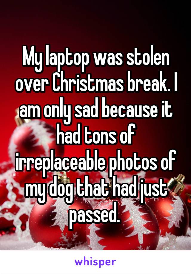 My laptop was stolen over Christmas break. I am only sad because it had tons of irreplaceable photos of my dog that had just passed. 