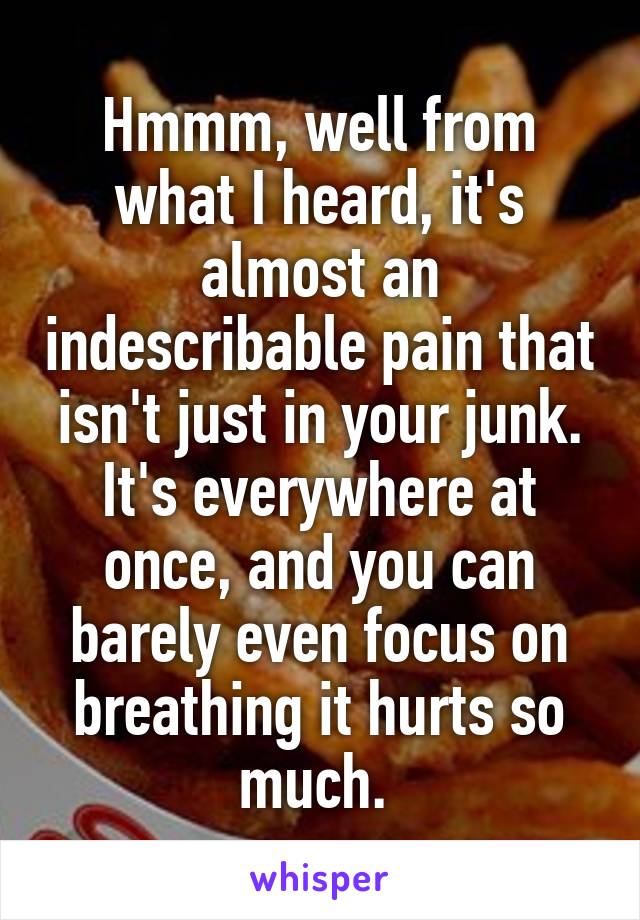 Hmmm, well from what I heard, it's almost an indescribable pain that isn't just in your junk. It's everywhere at once, and you can barely even focus on breathing it hurts so much. 
