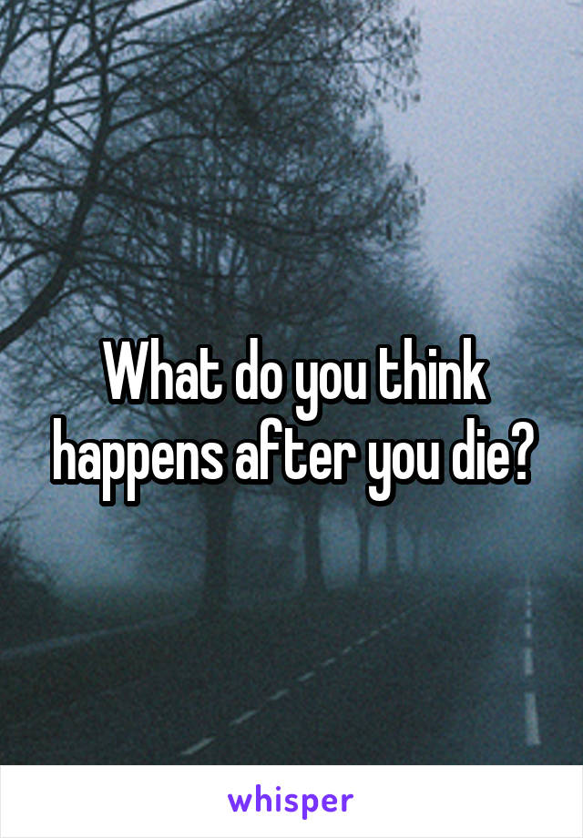 What do you think happens after you die?
