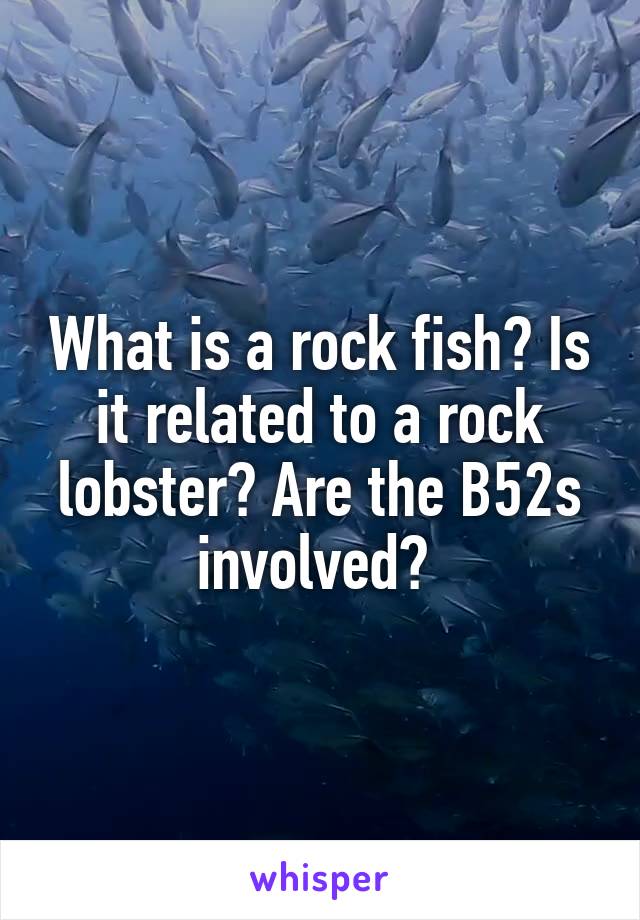 What is a rock fish? Is it related to a rock lobster? Are the B52s involved? 