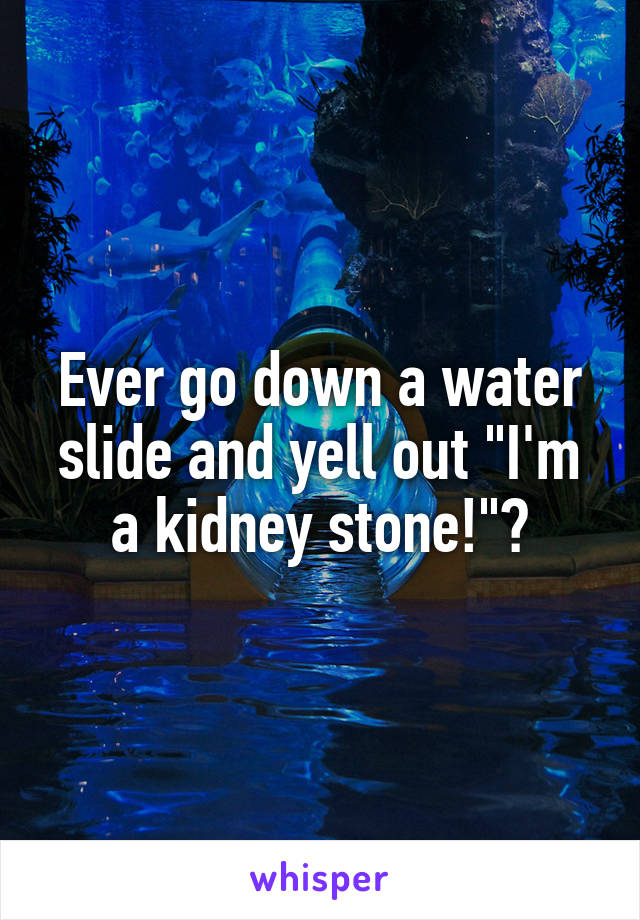 Ever go down a water slide and yell out "I'm a kidney stone!"?