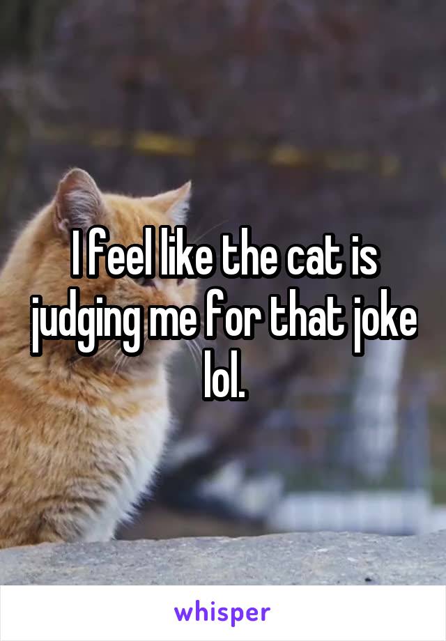 I feel like the cat is judging me for that joke lol.