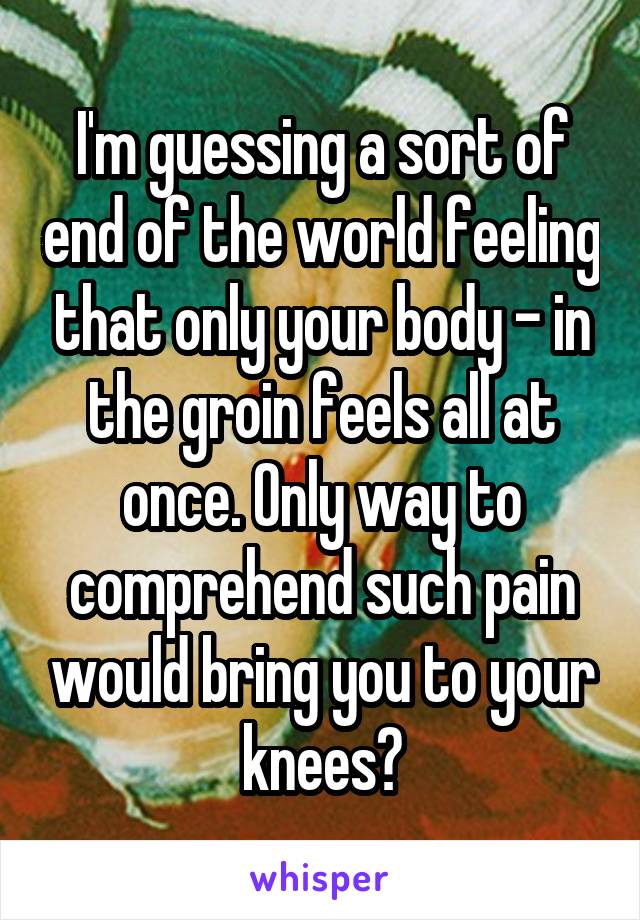 I'm guessing a sort of end of the world feeling that only your body - in the groin feels all at once. Only way to comprehend such pain would bring you to your knees?