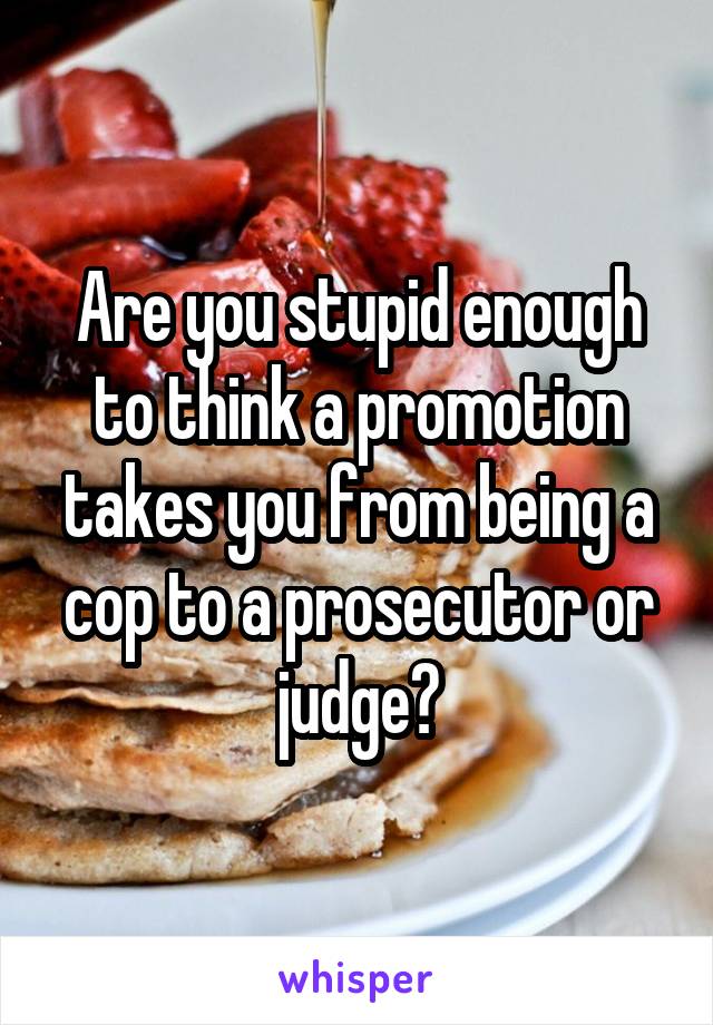 Are you stupid enough to think a promotion takes you from being a cop to a prosecutor or judge?
