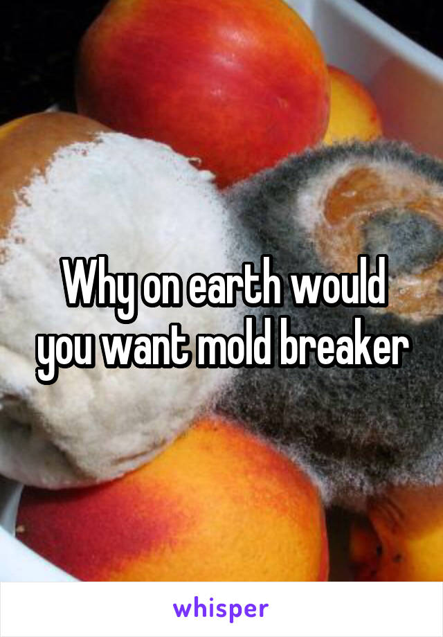 Why on earth would you want mold breaker