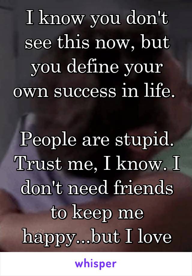 I know you don't see this now, but you define your own success in life. 

People are stupid. Trust me, I know. I don't need friends to keep me happy...but I love the ones I have. 