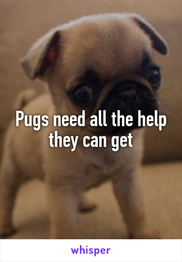 Pugs need all the help they can get