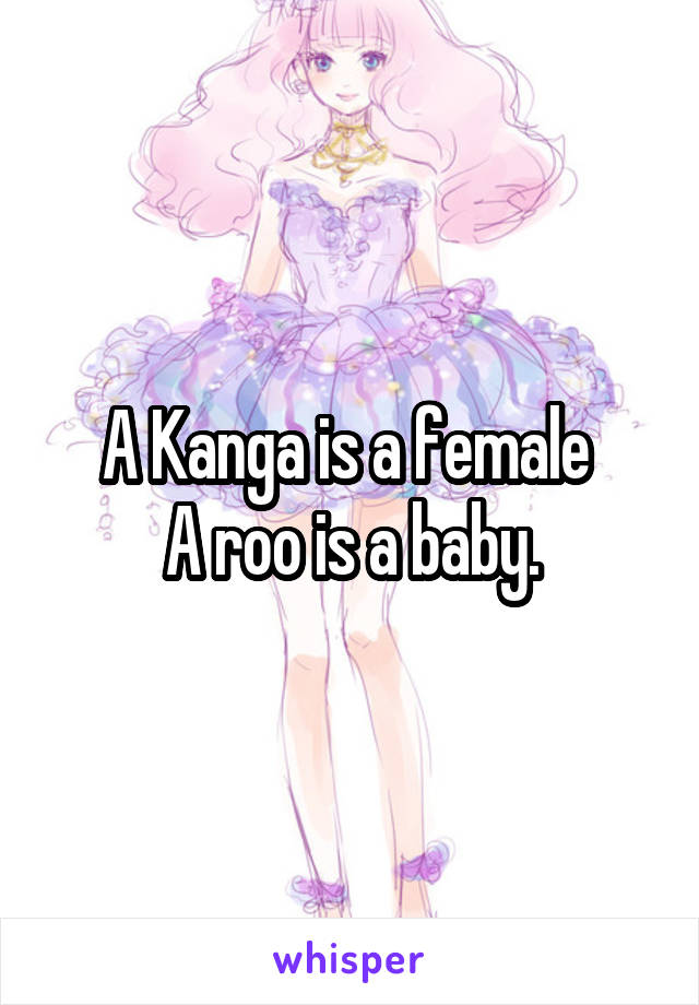 A Kanga is a female 
A roo is a baby.