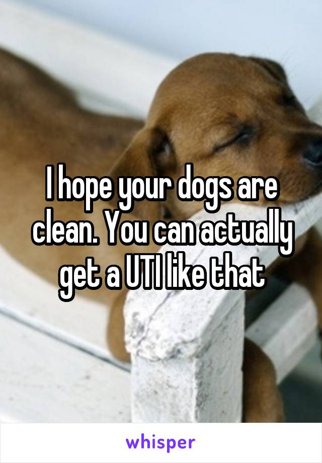 I hope your dogs are clean. You can actually get a UTI like that