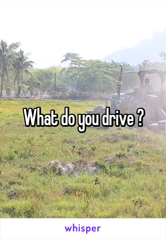 What do you drive ?