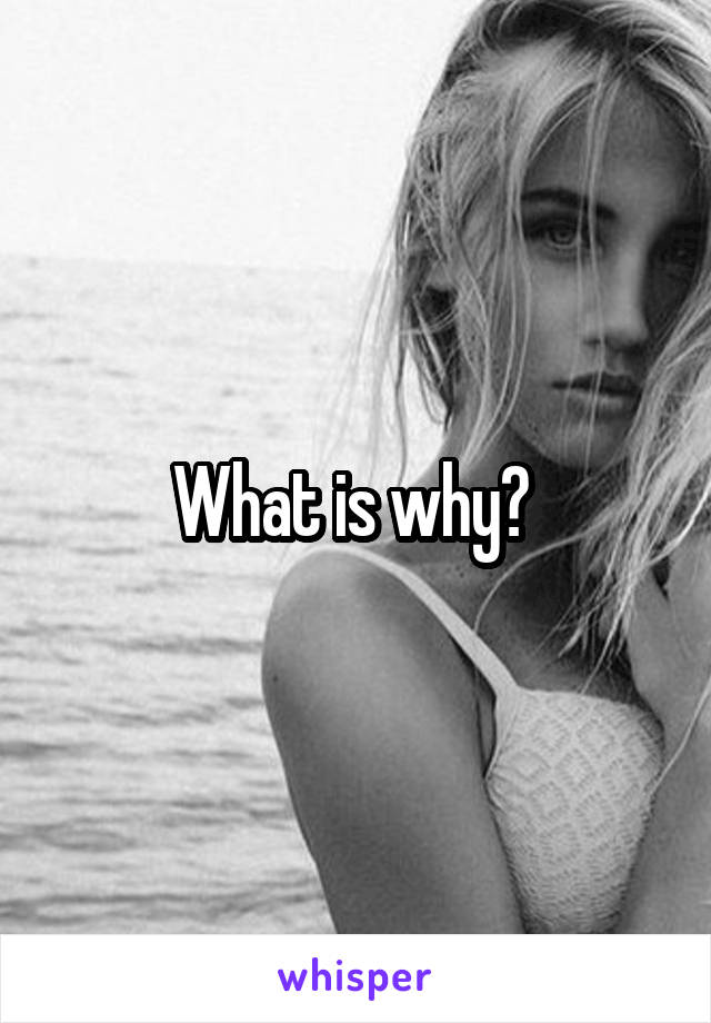 What is why? 