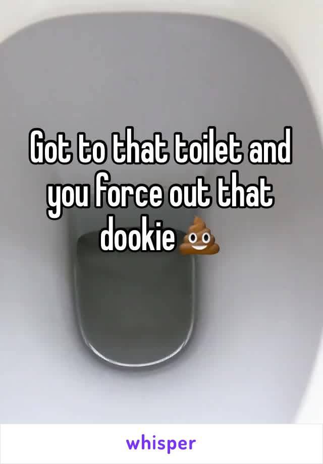 Got to that toilet and you force out that dookie💩