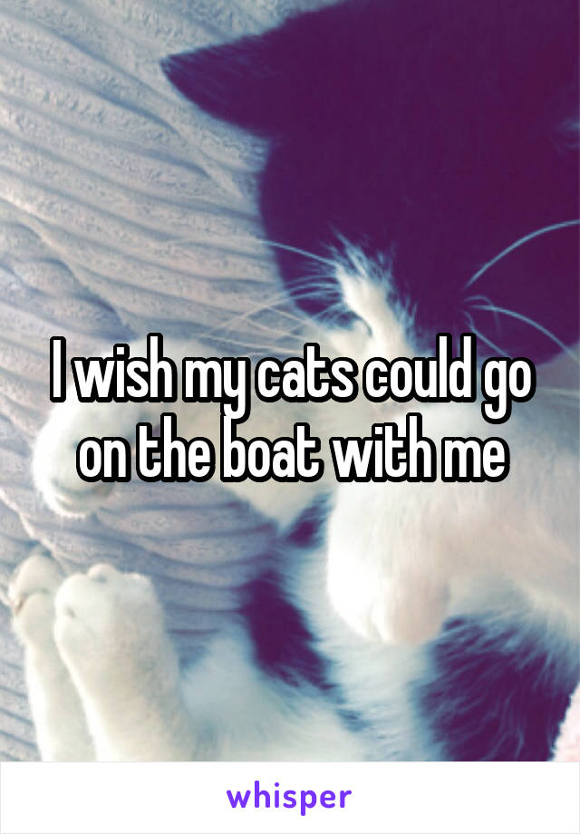 I wish my cats could go on the boat with me