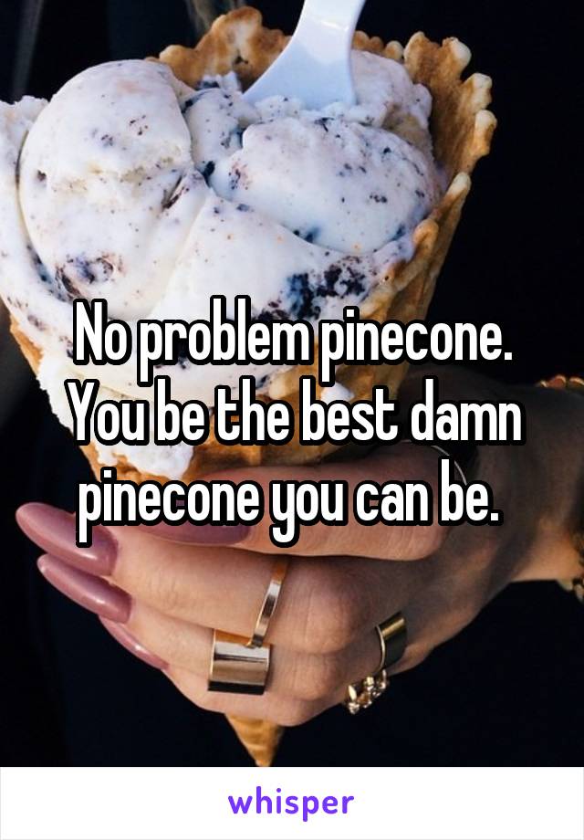 No problem pinecone. You be the best damn pinecone you can be. 