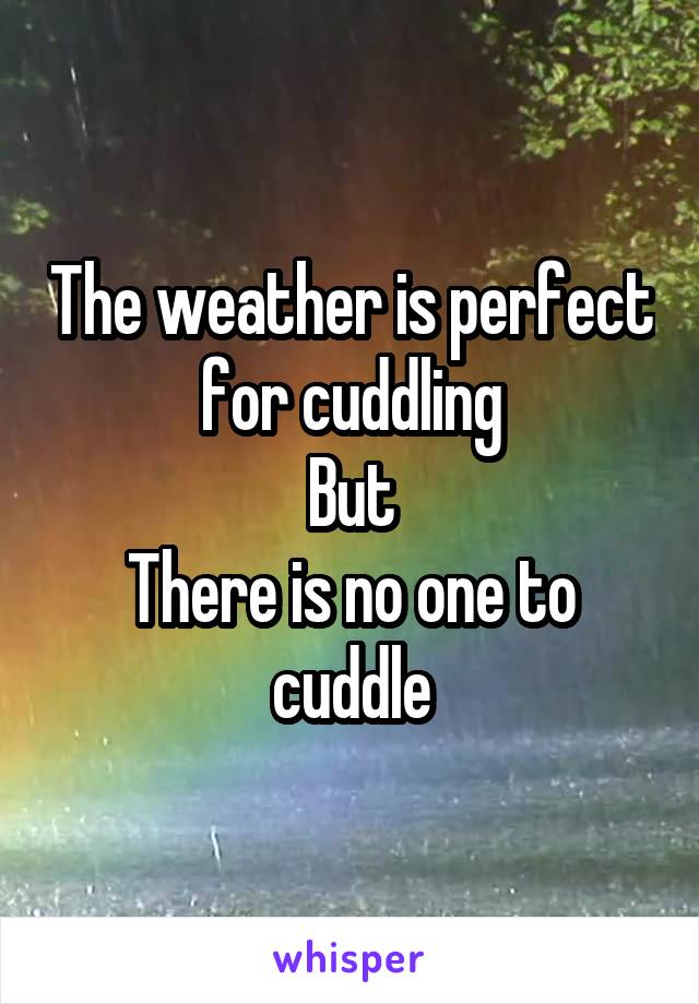 The weather is perfect for cuddling
But
There is no one to cuddle