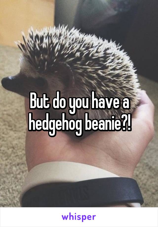 But do you have a hedgehog beanie?!