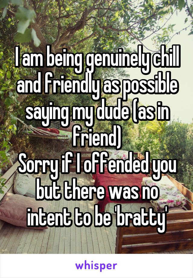 I am being genuinely chill and friendly as possible saying my dude (as in friend)
Sorry if I offended you but there was no intent to be 'bratty'