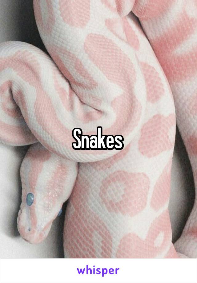 Snakes 