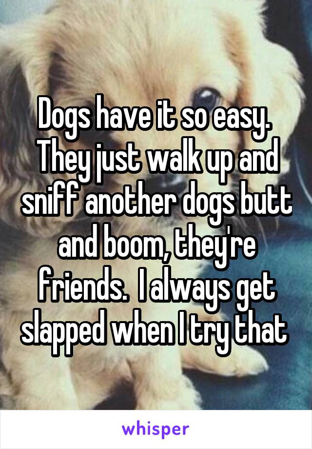 Dogs have it so easy.  They just walk up and sniff another dogs butt and boom, they're friends.  I always get slapped when I try that 