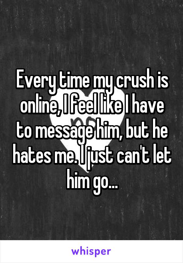 Every time my crush is online, I feel like I have to message him, but he hates me. I just can't let him go...